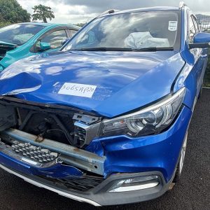 3065 AP 22 - MG ZS - Registration Fee: Rs 200